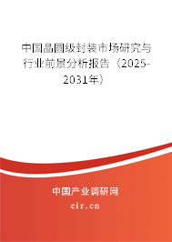中國晶圓級封裝市場研究與行業(yè)前景分析報告（2025-2031年）