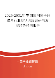 2025-2031年中國聚陰離子纖維素行業(yè)現(xiàn)狀深度調(diào)研與發(fā)展趨勢預(yù)測報(bào)告