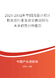 2025-2031年中國(guó)流量計(jì)和計(jì)數(shù)裝置行業(yè)發(fā)展全面調(diào)研與未來(lái)趨勢(shì)分析報(bào)告