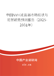 中國NVH減震器市場現(xiàn)狀與前景趨勢預(yù)測報(bào)告（2025-2031年）