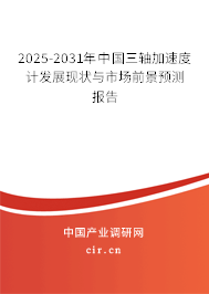 2025-2031年中國三軸加速度計發(fā)展現(xiàn)狀與市場前景預(yù)測報告