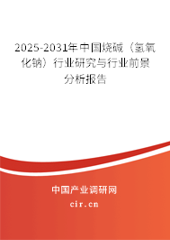 2025-2031年中國燒堿（氫氧化鈉）行業(yè)研究與行業(yè)前景分析報(bào)告
