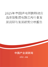 2025年中國聲電轉(zhuǎn)換場效應(yīng)晶體管集成電路芯片行業(yè)發(fā)展調(diào)研與發(fā)展趨勢分析報告