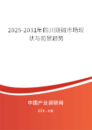 2025-2031年四川燒堿市場現(xiàn)狀與前景趨勢