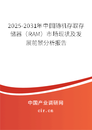 2025-2031年中國隨機(jī)存取存儲(chǔ)器（RAM）市場現(xiàn)狀及發(fā)展前景分析報(bào)告
