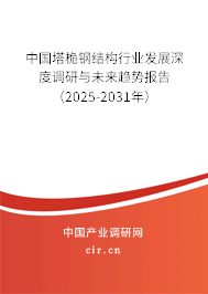 中國塔桅鋼結構行業(yè)發(fā)展深度調研與未來趨勢報告（2025-2031年）