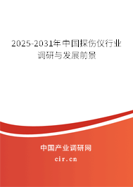 2025-2031年中國(guó)探傷儀行業(yè)調(diào)研與發(fā)展前景