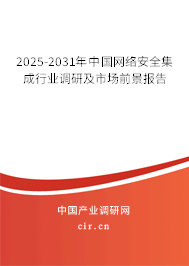 2025-2031年中國(guó)網(wǎng)絡(luò)安全集成行業(yè)調(diào)研及市場(chǎng)前景報(bào)告