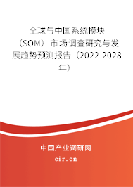 全球與中國系統(tǒng)模塊（SOM）市場調(diào)查研究與發(fā)展趨勢預(yù)測報(bào)告（2022-2028年）