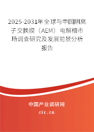2025-2031年全球與中國陰離子交換膜（AEM）電解槽市場調(diào)查研究及發(fā)展前景分析報告