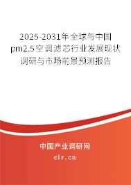 2025-2031年全球與中國pm2.5空調(diào)濾芯行業(yè)發(fā)展現(xiàn)狀調(diào)研與市場前景預(yù)測報(bào)告