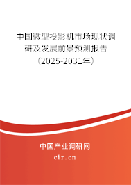 中國微型投影機(jī)市場現(xiàn)狀調(diào)研及發(fā)展前景預(yù)測報告（2025-2031年）
