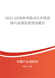 2023-2029年中國(guó)AES市場(chǎng)調(diào)研與發(fā)展前景預(yù)測(cè)報(bào)告