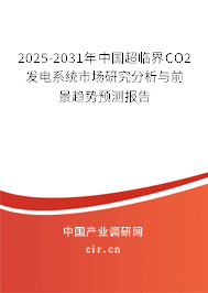 2025-2031年中國超臨界CO2發(fā)電系統(tǒng)市場研究分析與前景趨勢預(yù)測報告