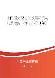 中國磁力泵行業(yè)發(fā)展研究與前景趨勢（2025-2031年）