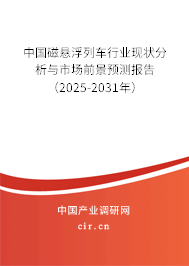 中國磁懸浮列車行業(yè)現(xiàn)狀分析與市場前景預測報告（2025-2031年）