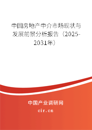 中國(guó)房地產(chǎn)中介市場(chǎng)現(xiàn)狀與發(fā)展前景分析報(bào)告（2025-2031年）