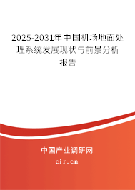 2025-2031年中國(guó)機(jī)場(chǎng)地面處理系統(tǒng)發(fā)展現(xiàn)狀與前景分析報(bào)告