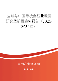 全球與中國靠枕套行業(yè)發(fā)展研究及前景趨勢報告（2025-2031年）