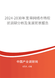 2024-2030年寬帶網(wǎng)絡市場現(xiàn)狀調研分析及發(fā)展前景報告