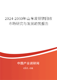 2024-2030年山東廢鋼鐵回收市場研究與發(fā)展趨勢報告