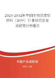 2025-2031年中國生物質(zhì)成型燃料（BMF）行業(yè)研究及發(fā)展趨勢分析報告