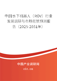 中國水下機器人（ROV）行業(yè)發(fā)展調研與市場前景預測報告（2024-2030年）