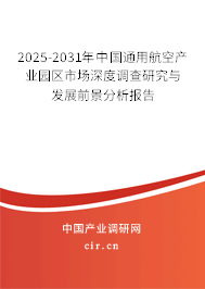 2025-2031年中國通用航空產(chǎn)業(yè)園區(qū)市場深度調查研究與發(fā)展前景分析報告