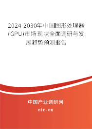 2024-2030年中國(guó)圖形處理器(GPU)市場(chǎng)現(xiàn)狀全面調(diào)研與發(fā)展趨勢(shì)預(yù)測(cè)報(bào)告