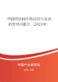 中國物聯(lián)網(wǎng)市場調(diào)研與發(fā)展趨勢預(yù)測報(bào)告（2025年）