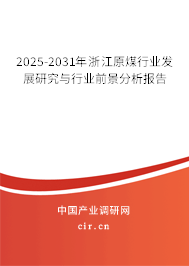 2025-2031年浙江原煤行業(yè)發(fā)展研究與行業(yè)前景分析報告
