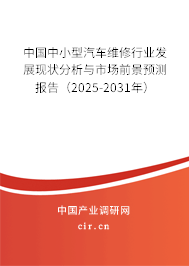 中國(guó)中小型汽車維修行業(yè)發(fā)展現(xiàn)狀分析與市場(chǎng)前景預(yù)測(cè)報(bào)告（2025-2031年）