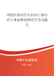 中國環(huán)保藥劑與材料行業(yè)標桿企業(yè)戰(zhàn)略管理研究咨詢報告