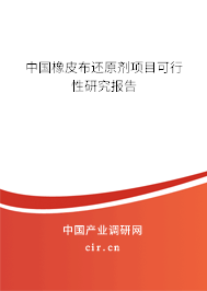 中國(guó)橡皮布還原劑項(xiàng)目可行性研究報(bào)告