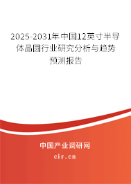 2025-2031年中國12英寸半導(dǎo)體晶圓行業(yè)研究分析與趨勢預(yù)測報(bào)告
