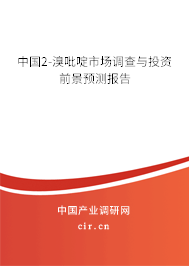 中國(guó)2-溴吡啶市場(chǎng)調(diào)查與投資前景預(yù)測(cè)報(bào)告