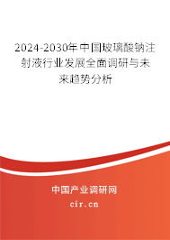 2024-2030年中國玻璃酸鈉注射液行業(yè)發(fā)展全面調研與未來趨勢分析