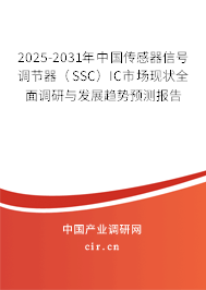 2025-2031年中國傳感器信號調(diào)節(jié)器（SSC）IC市場現(xiàn)狀全面調(diào)研與發(fā)展趨勢預測報告
