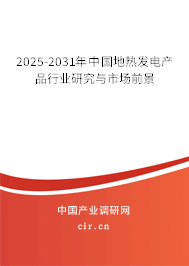 2025-2031年中國(guó)地?zé)岚l(fā)電產(chǎn)品行業(yè)研究與市場(chǎng)前景