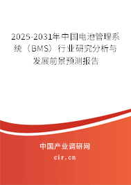 2025-2031年中國電池管理系統(tǒng)（BMS）行業(yè)研究分析與發(fā)展前景預(yù)測報告