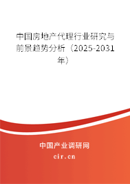 中國(guó)房地產(chǎn)代理行業(yè)研究與前景趨勢(shì)分析（2025-2031年）