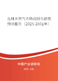 吉林天然氣市場調研與趨勢預測報告（2025-2031年）