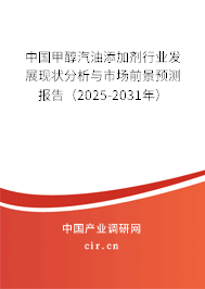 中國(guó)甲醇汽油添加劑行業(yè)發(fā)展現(xiàn)狀分析與市場(chǎng)前景預(yù)測(cè)報(bào)告（2025-2031年）