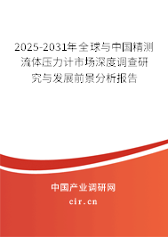 2025-2031年全球與中國精測流體壓力計市場深度調(diào)查研究與發(fā)展前景分析報告