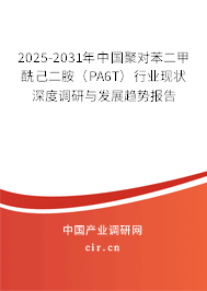 2025-2031年中國聚對(duì)苯二甲酰己二胺（PA6T）行業(yè)現(xiàn)狀深度調(diào)研與發(fā)展趨勢(shì)報(bào)告