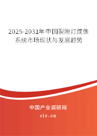 2025-2031年中國裂隙燈成像系統(tǒng)市場現(xiàn)狀與發(fā)展趨勢