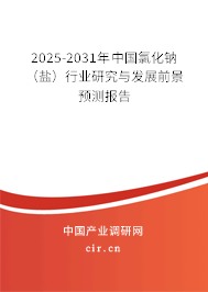 2025-2031年中國氯化鈉（鹽）行業(yè)研究與發(fā)展前景預(yù)測報告