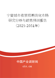 寧夏城市夜景照明亮化市場(chǎng)研究分析與趨勢(shì)預(yù)測(cè)報(bào)告（2025-2031年）