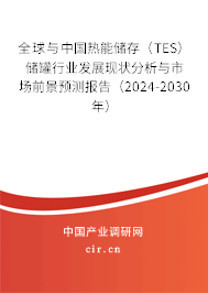 全球與中國熱能儲存（TES）儲罐行業(yè)發(fā)展現(xiàn)狀分析與市場前景預(yù)測報告（2024-2030年）
