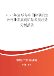 2025年全球與中國熱偶真空計(jì)行業(yè)發(fā)展調(diào)研與發(fā)展趨勢(shì)分析報(bào)告